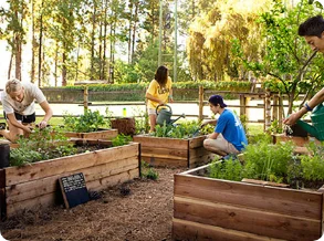Community garden